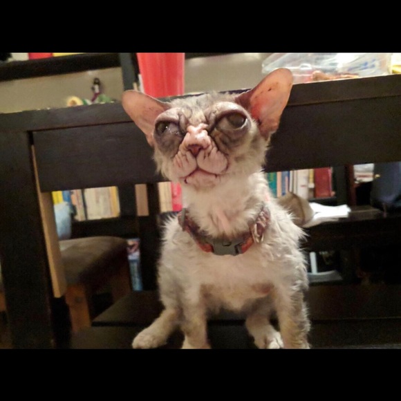 Meet your Posher, Dirk - Picture 1 of 1